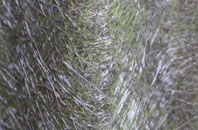 Buckhurst Hill fibreglass roof work